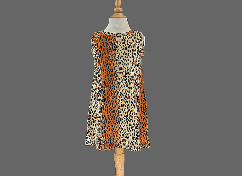 Casual Dress A-Line Style. Leopard Print